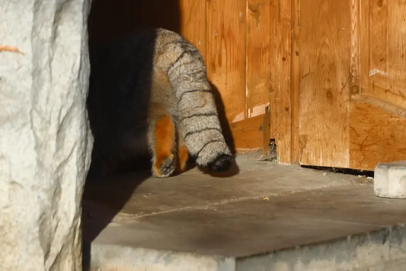 A photograph of Timofey in Moscow zoo