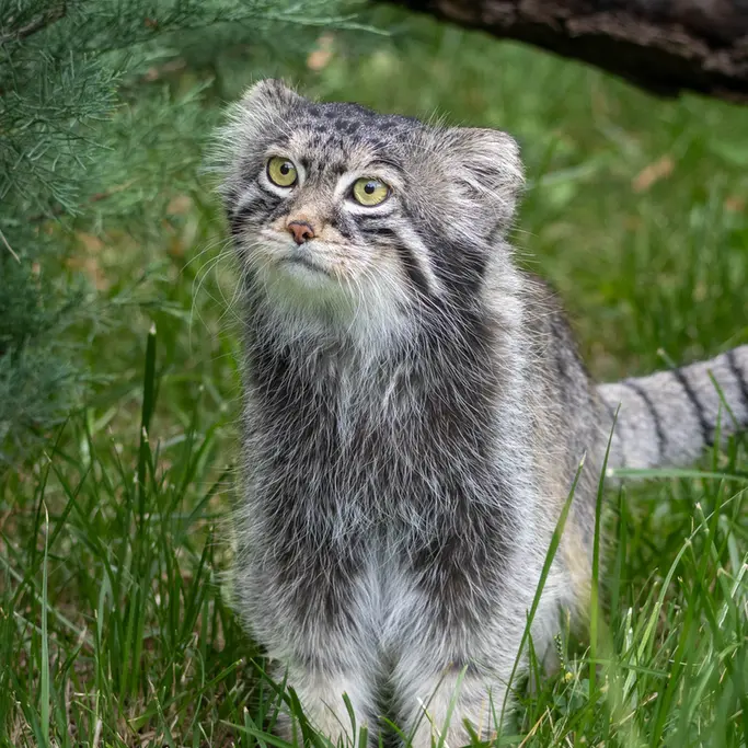 A photograph of Timofey in Moscow zoo