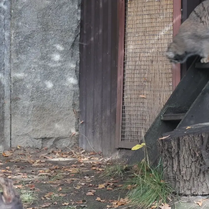 A photograph of Timofey in Moscow zoo