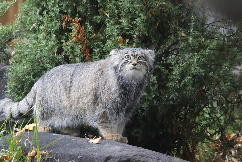 A photograph of Timofey in Moscow zoo