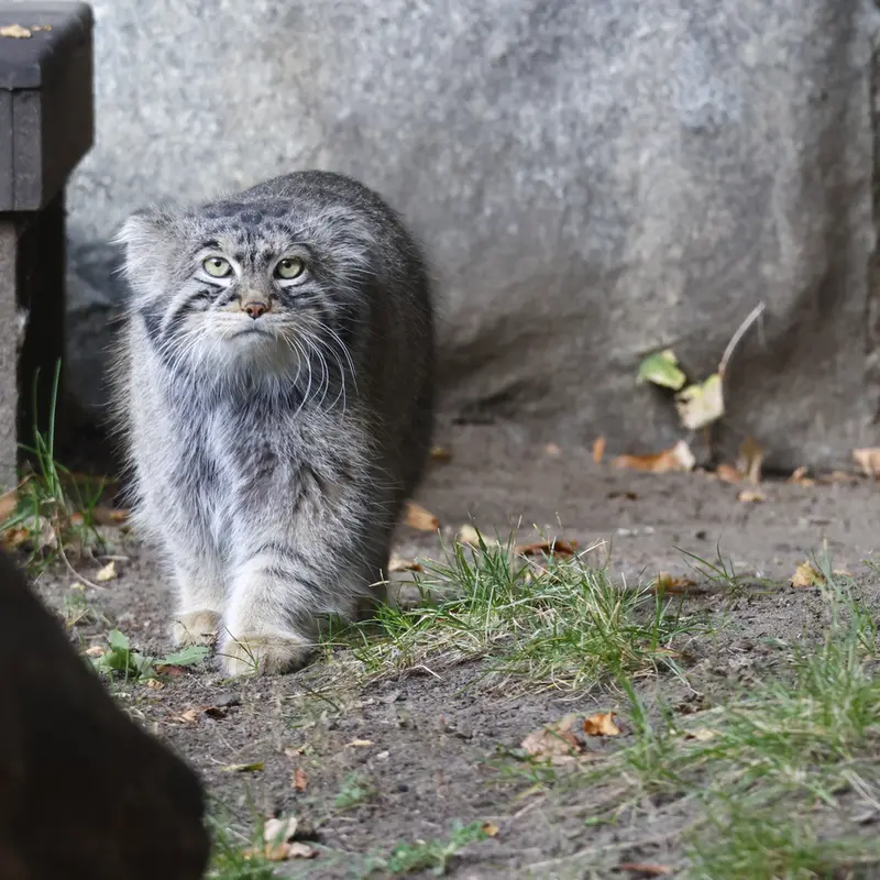 A photograph of Timofey in Moscow zoo