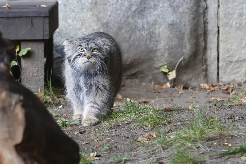 A photograph of Timofey in Moscow zoo