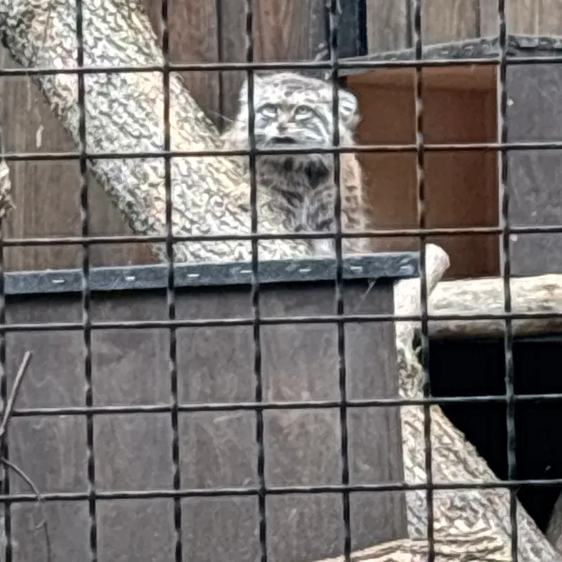 A photograph of Jessie in Warsaw Zoo