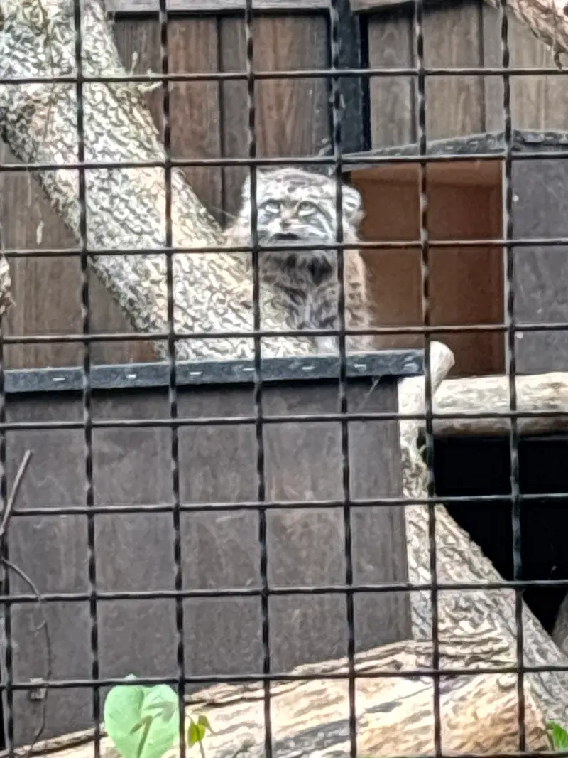 A photograph of Jessie in Warsaw Zoo