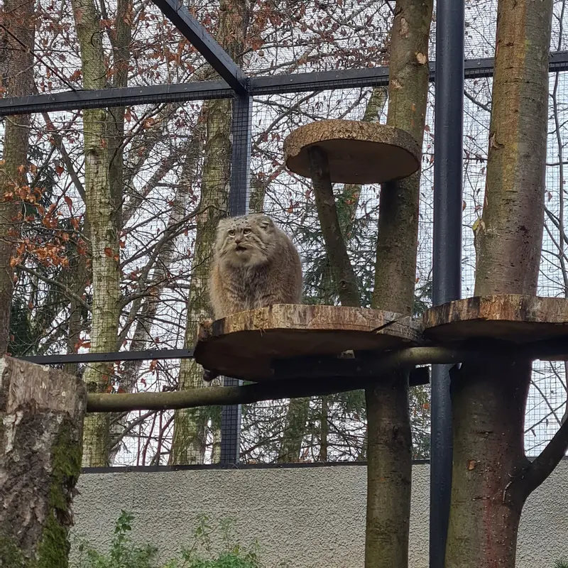A photograph of Manuel in Gdansk Zoo