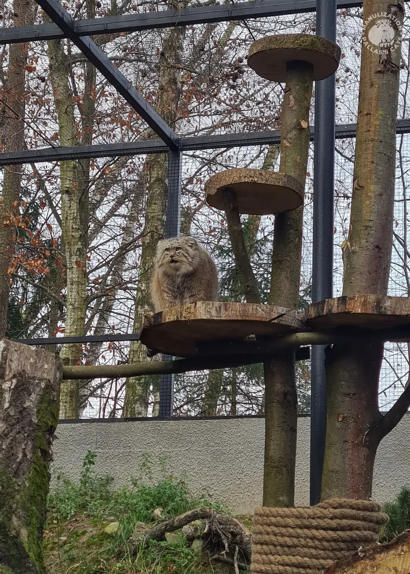 A photograph of Manuel in Gdansk Zoo