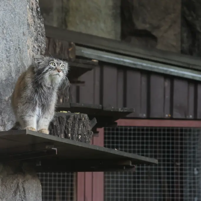 A photograph of Timofey in Moscow zoo