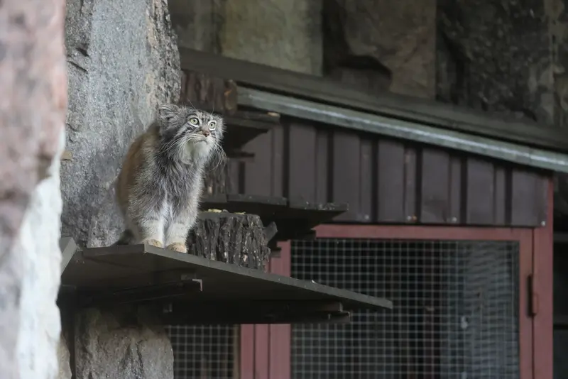 A photograph of Timofey in Moscow zoo