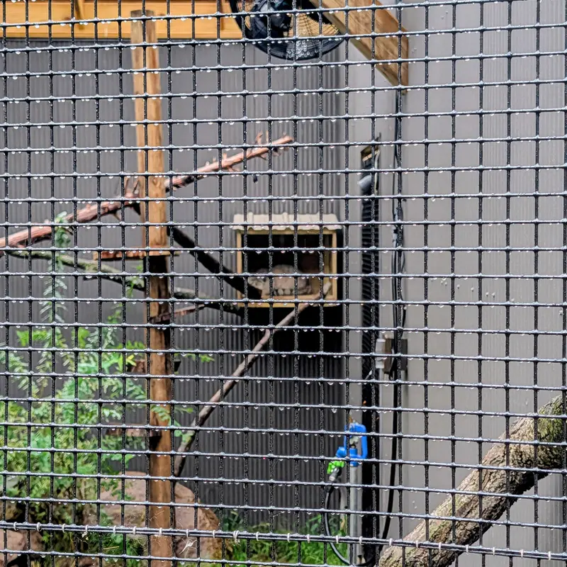 A photograph of Kasper in Elmwood Park Zoo