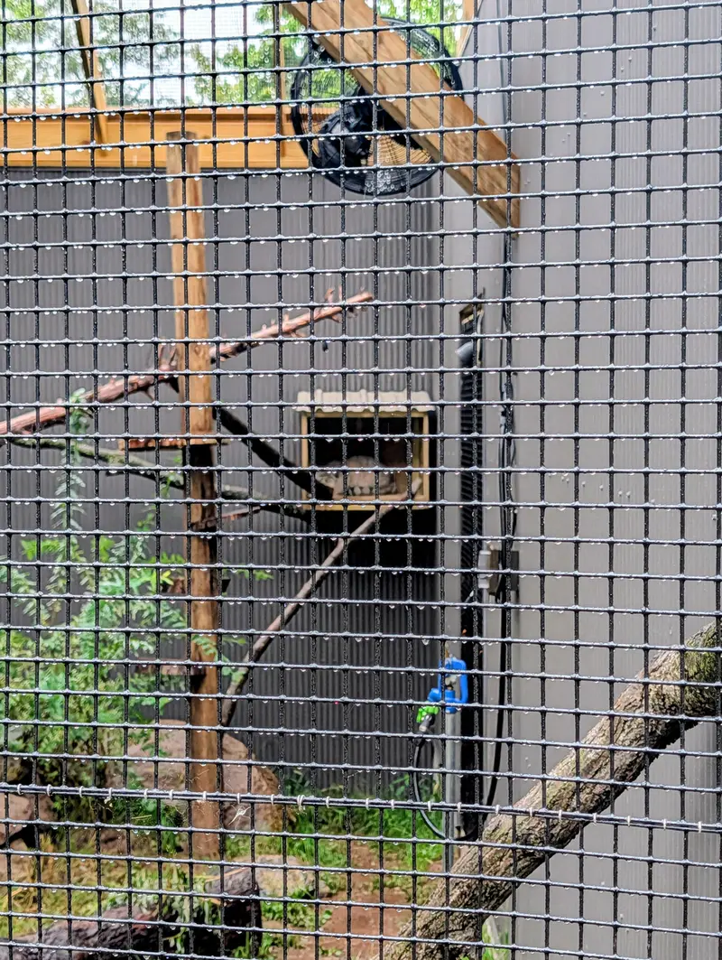A photograph of Kasper in Elmwood Park Zoo