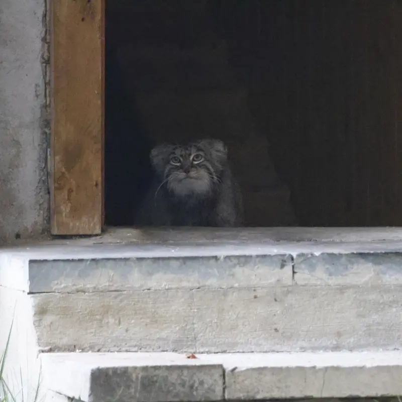 A photograph of Timofey in Moscow zoo
