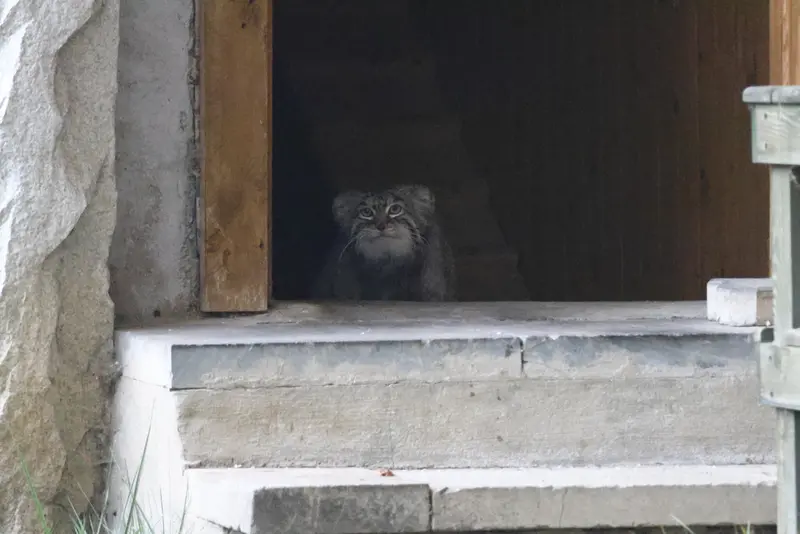 A photograph of Timofey in Moscow zoo