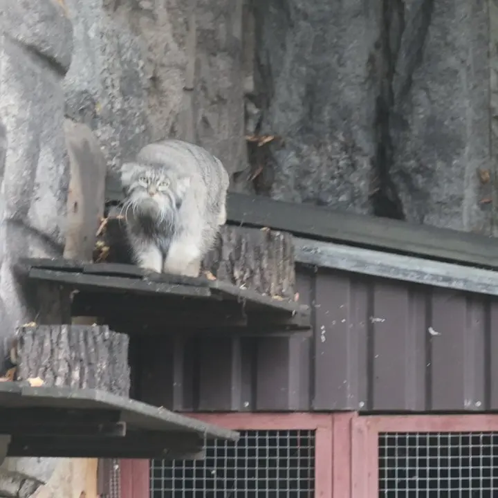 A photograph of Timofey in Moscow zoo