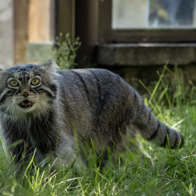 A photograph of Timofey in Moscow zoo