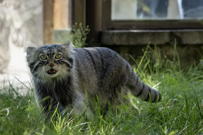 A photograph of Timofey in Moscow zoo