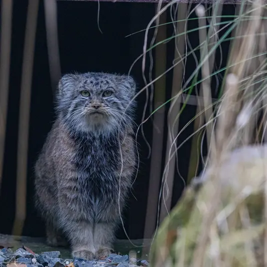 A photograph of Moira in Ostrava Zoo