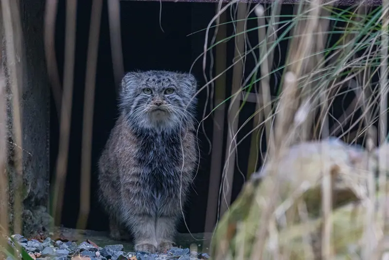 A photograph of Moira in Ostrava Zoo