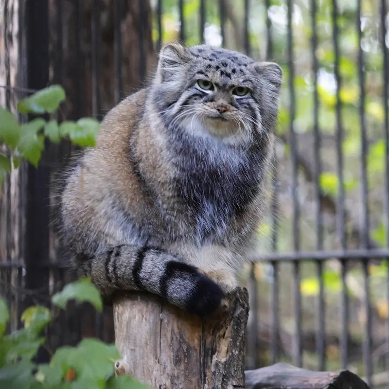 A photograph of Anya in Novosibirsk Zoo
