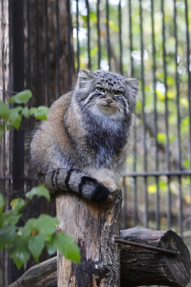 A photograph of Anya in Novosibirsk Zoo