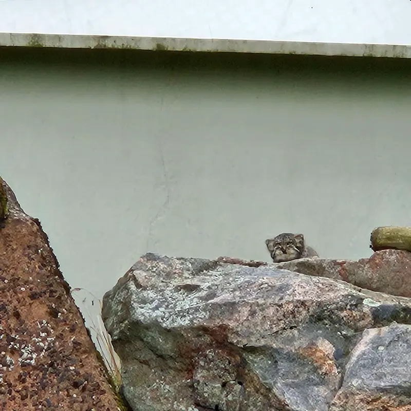 A photograph of Sten in Korkeasaari Zoo
