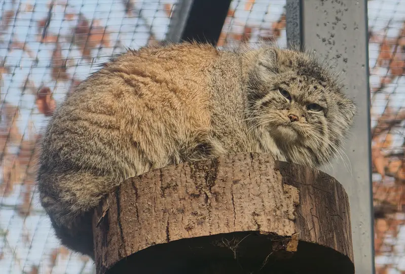 A photograph of Ula in Gdansk Zoo