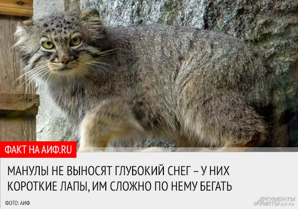 A photograph of Varvara in Moscow zoo
