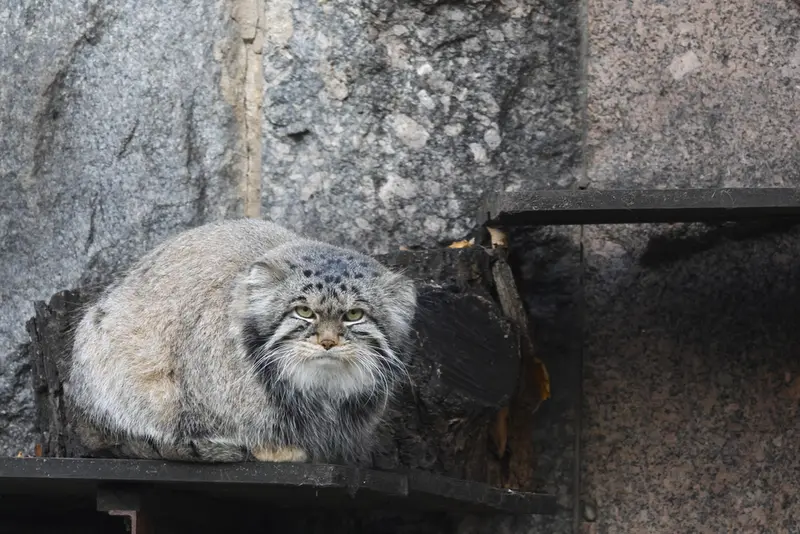 A photograph of Timofey in Moscow zoo