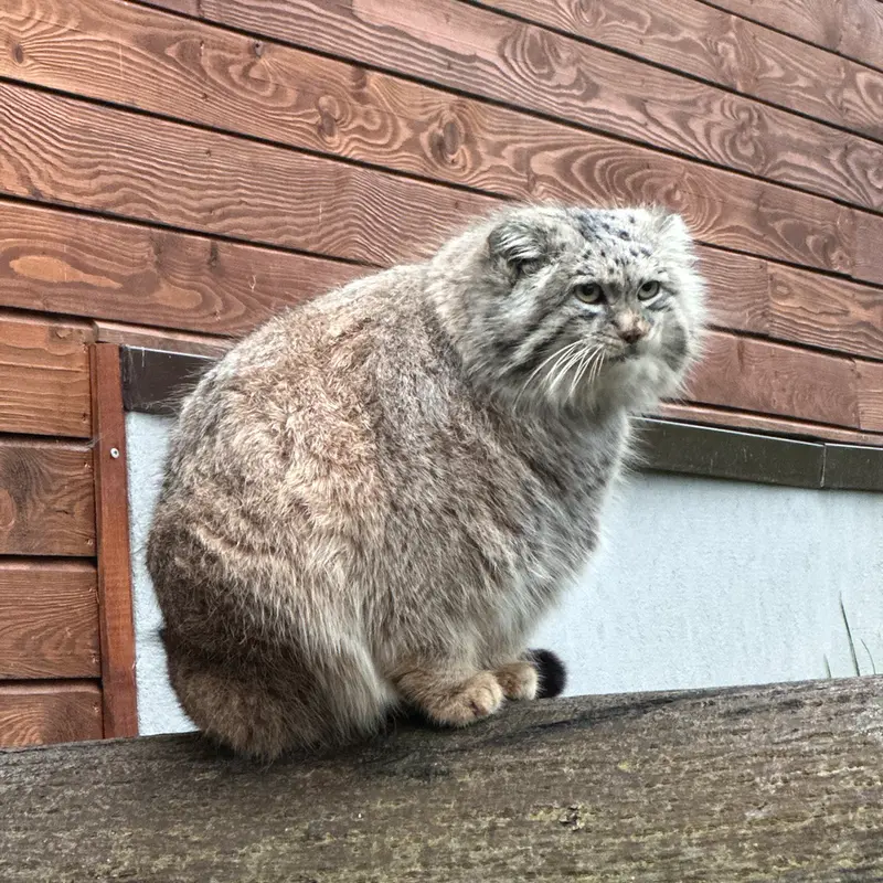 A photograph of Manuel in Gdansk Zoo