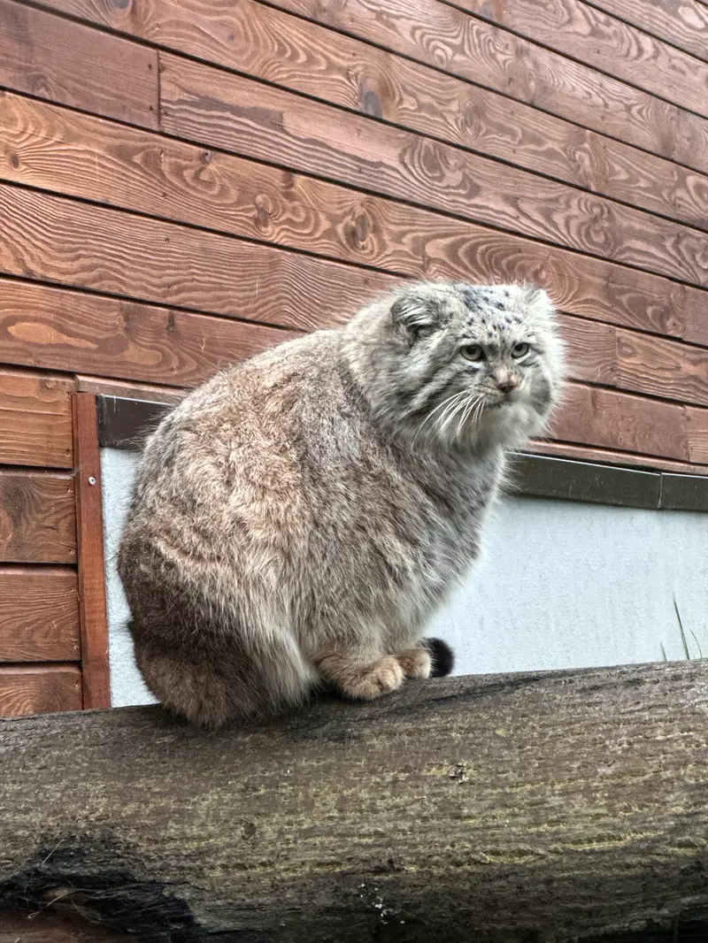 A photograph of Manuel in Gdansk Zoo