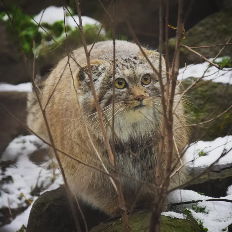A photograph of Lucy in Budapest Zoo &amp; Botanical Garden