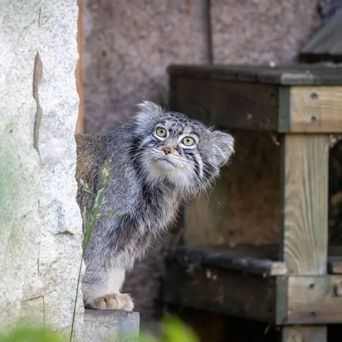 A photograph of Timofey in Moscow zoo