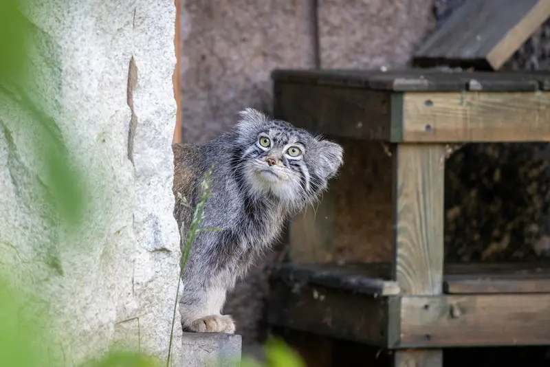 A photograph of Timofey in Moscow zoo