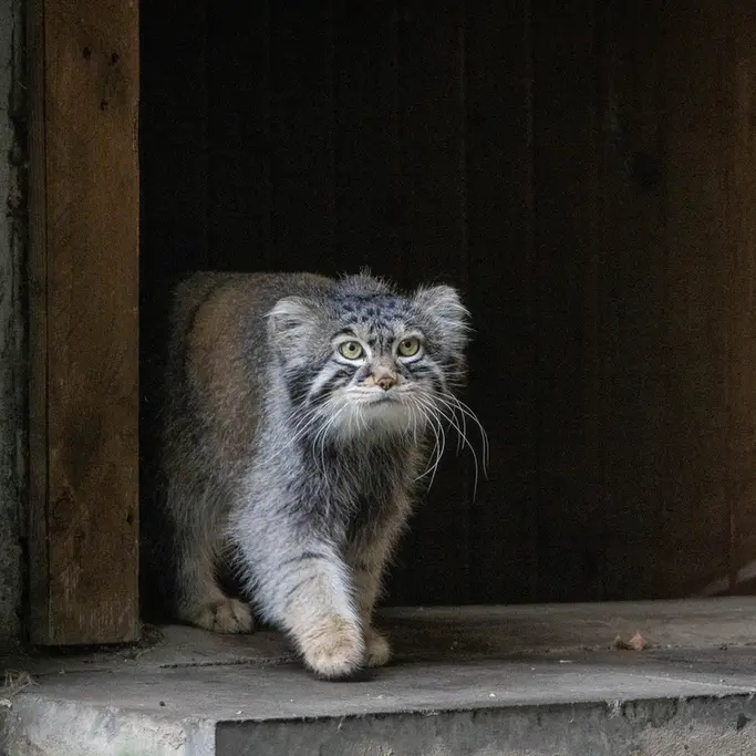 A photograph of Timofey in Moscow zoo
