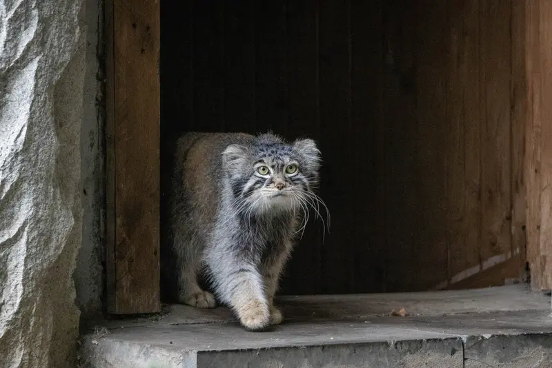A photograph of Timofey in Moscow zoo