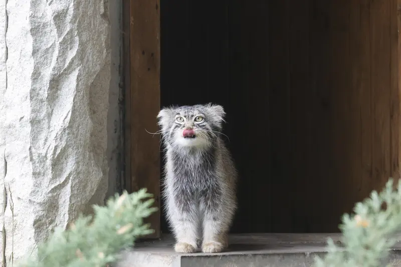 A photograph of Timofey in Moscow zoo