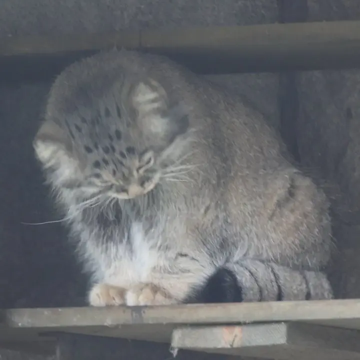 A photograph of Timofey in Moscow zoo