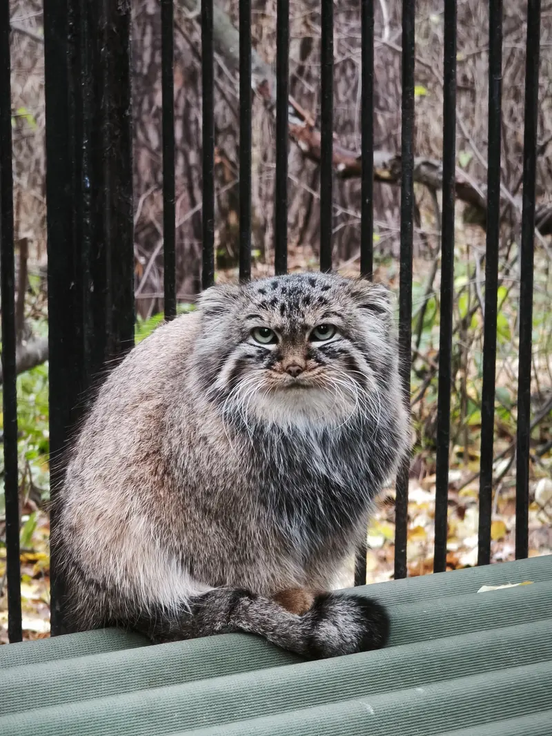 A photograph of Gabi in Novosibirsk Zoo