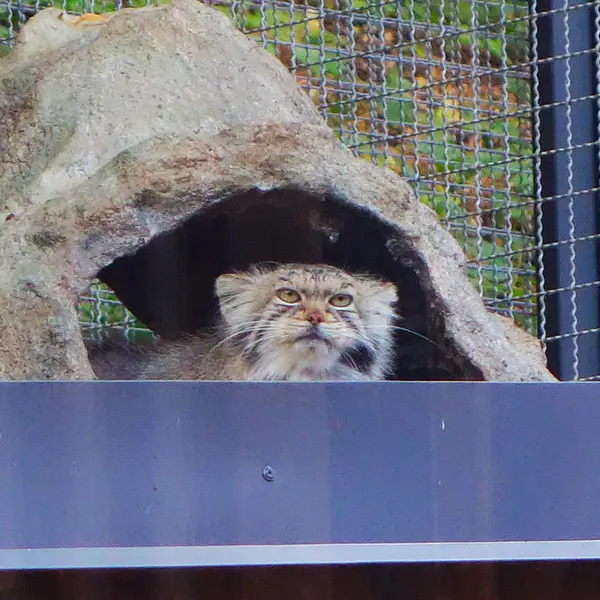 A photograph of Melissa in Lithuanian Zoo