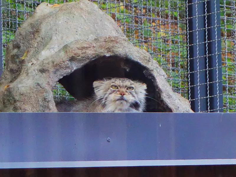 A photograph of Melissa in Lithuanian Zoo