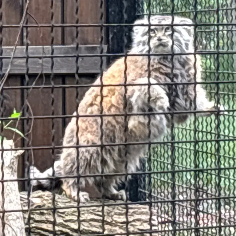 A photograph of Jessie in Warsaw Zoo