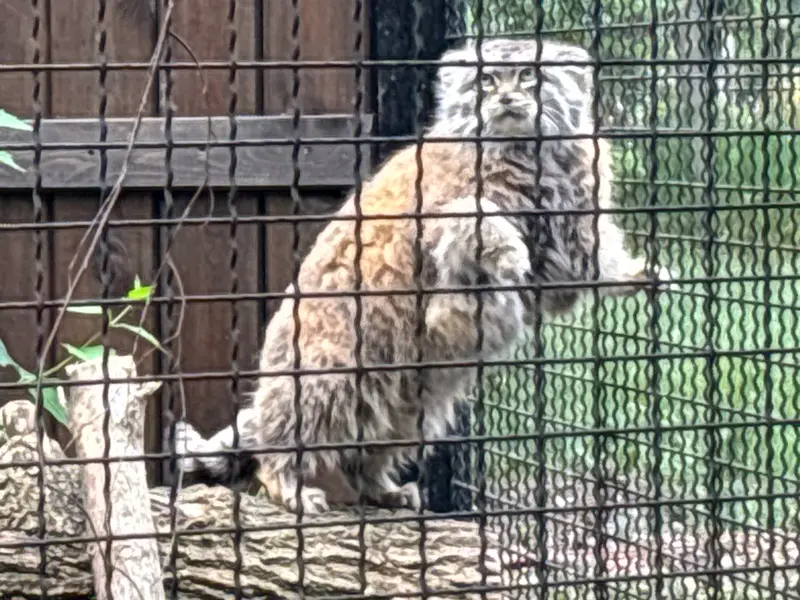 A photograph of Jessie in Warsaw Zoo