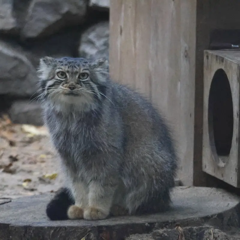 A photograph of Eve in Novosibirsk Zoo