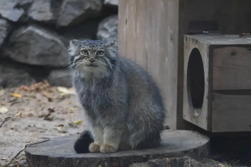 A photograph of Eve in Novosibirsk Zoo