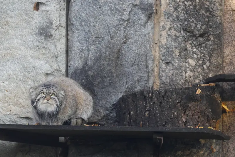 A photograph of Timofey in Moscow zoo