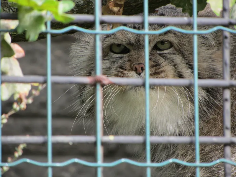 A photograph of Jonathan in Magdeburg Zoo