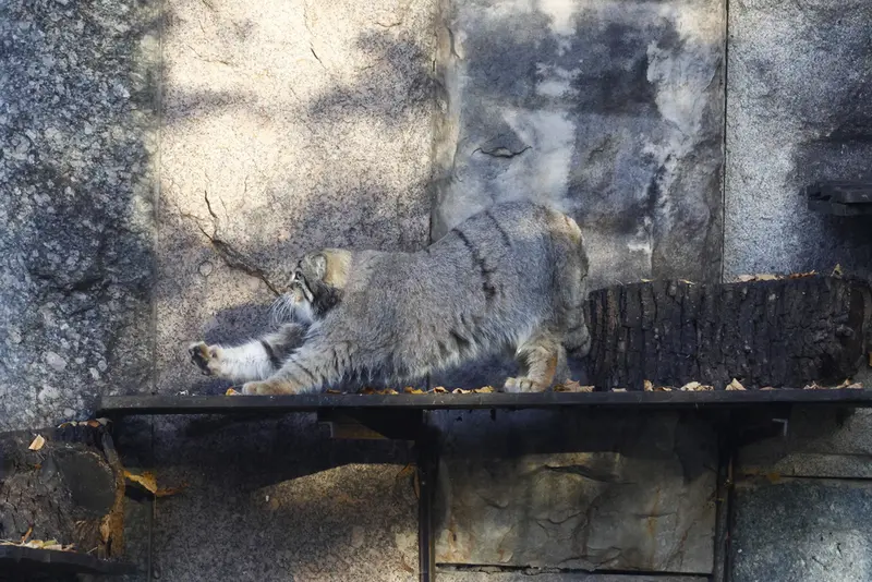 A photograph of Timofey in Moscow zoo