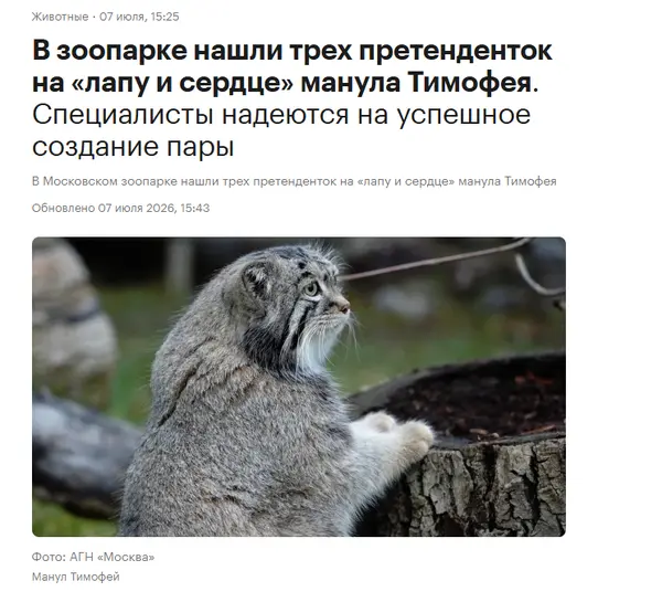A photograph of Timofey in Moscow zoo