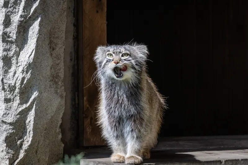 A photograph of Timofey in Moscow zoo