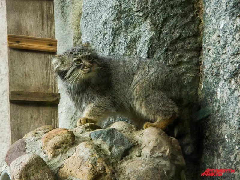 A photograph of Varvara in Moscow zoo