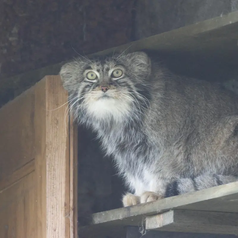 A photograph of Timofey in Moscow zoo